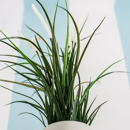 Mini With Balcony Apartman Sopot