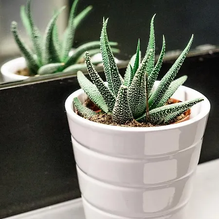 Mini With Balcony * Sopot